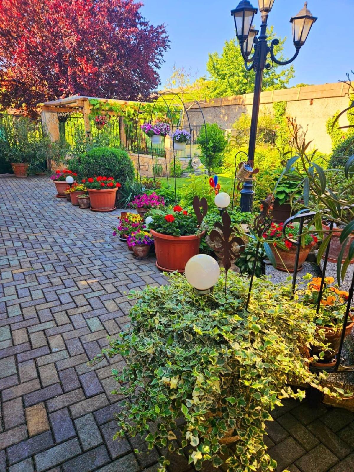 Ferienwohnung Koppi Pamhagen Dış mekan fotoğraf