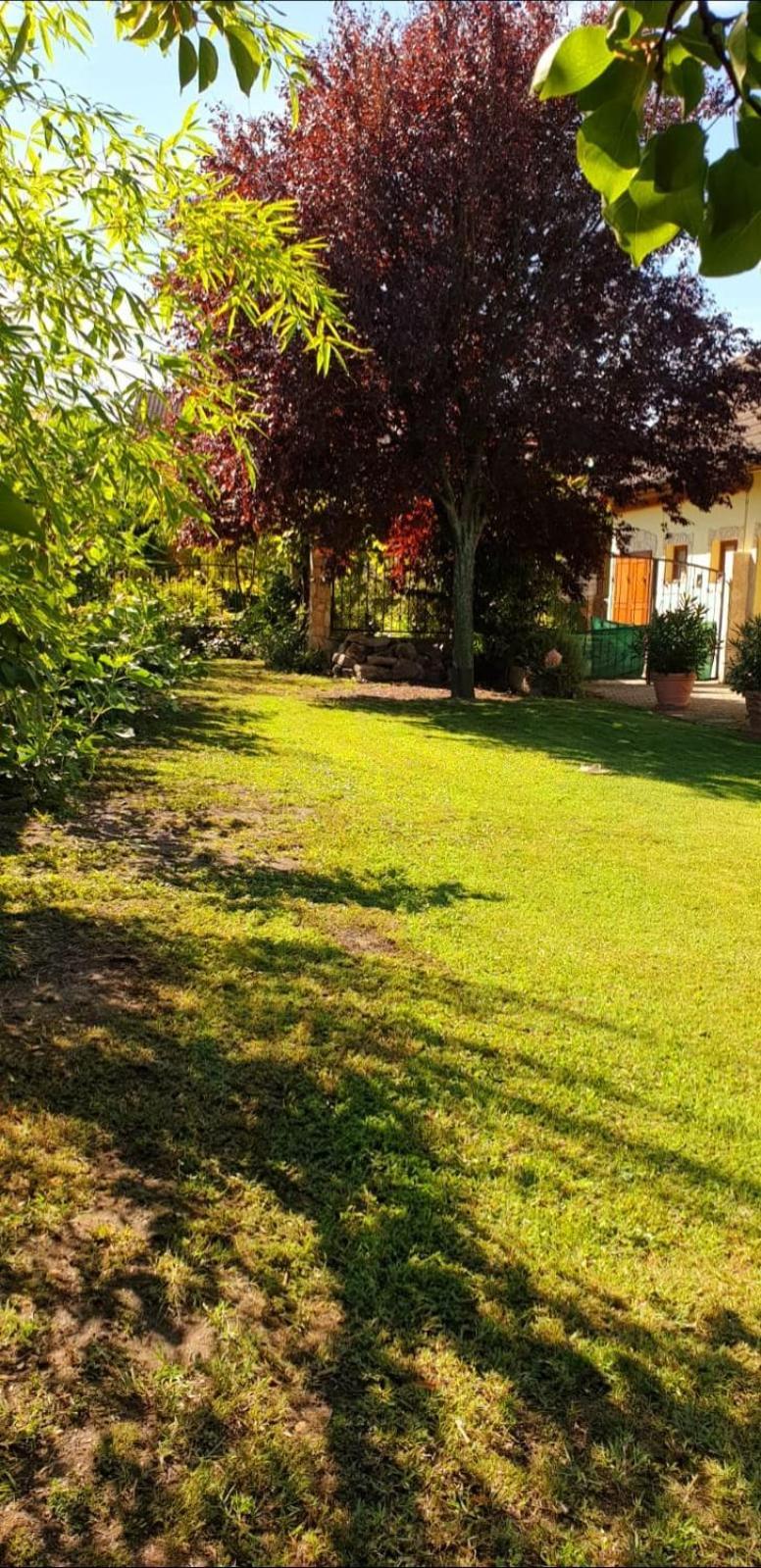 Ferienwohnung Koppi Pamhagen Dış mekan fotoğraf