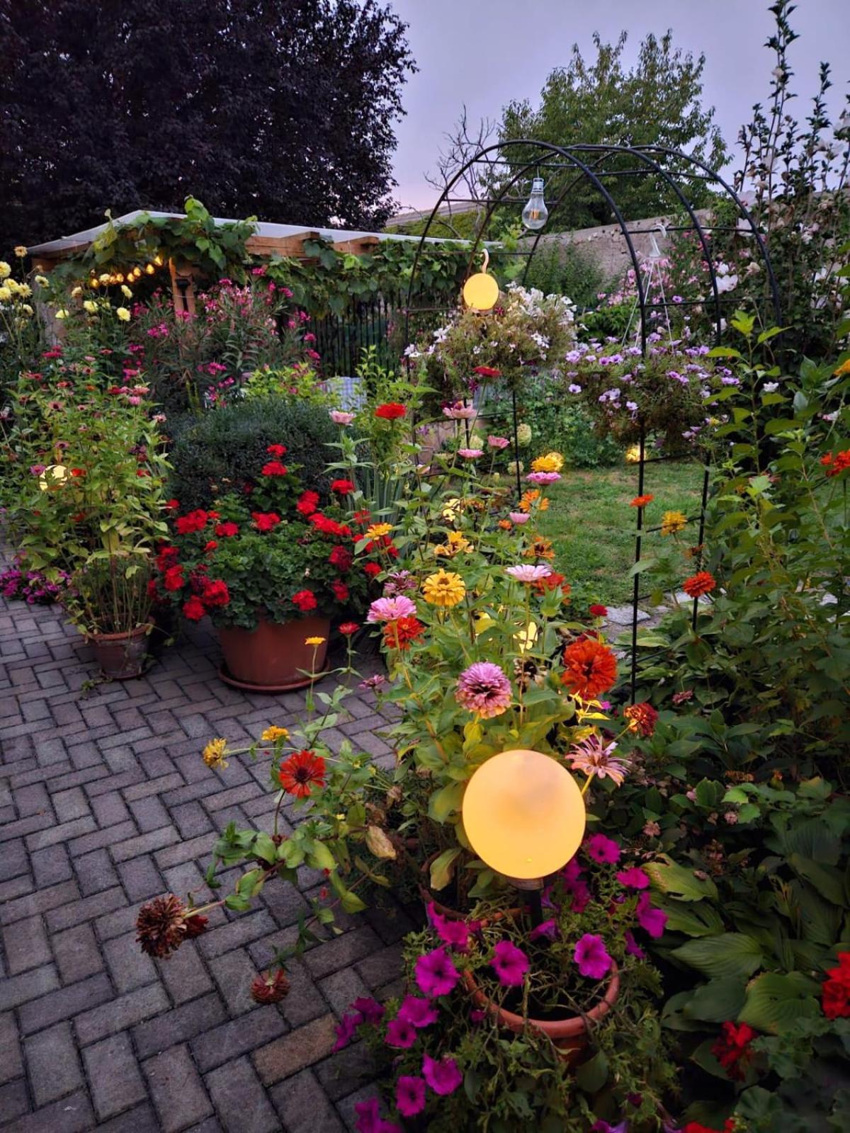 Ferienwohnung Koppi Pamhagen Dış mekan fotoğraf