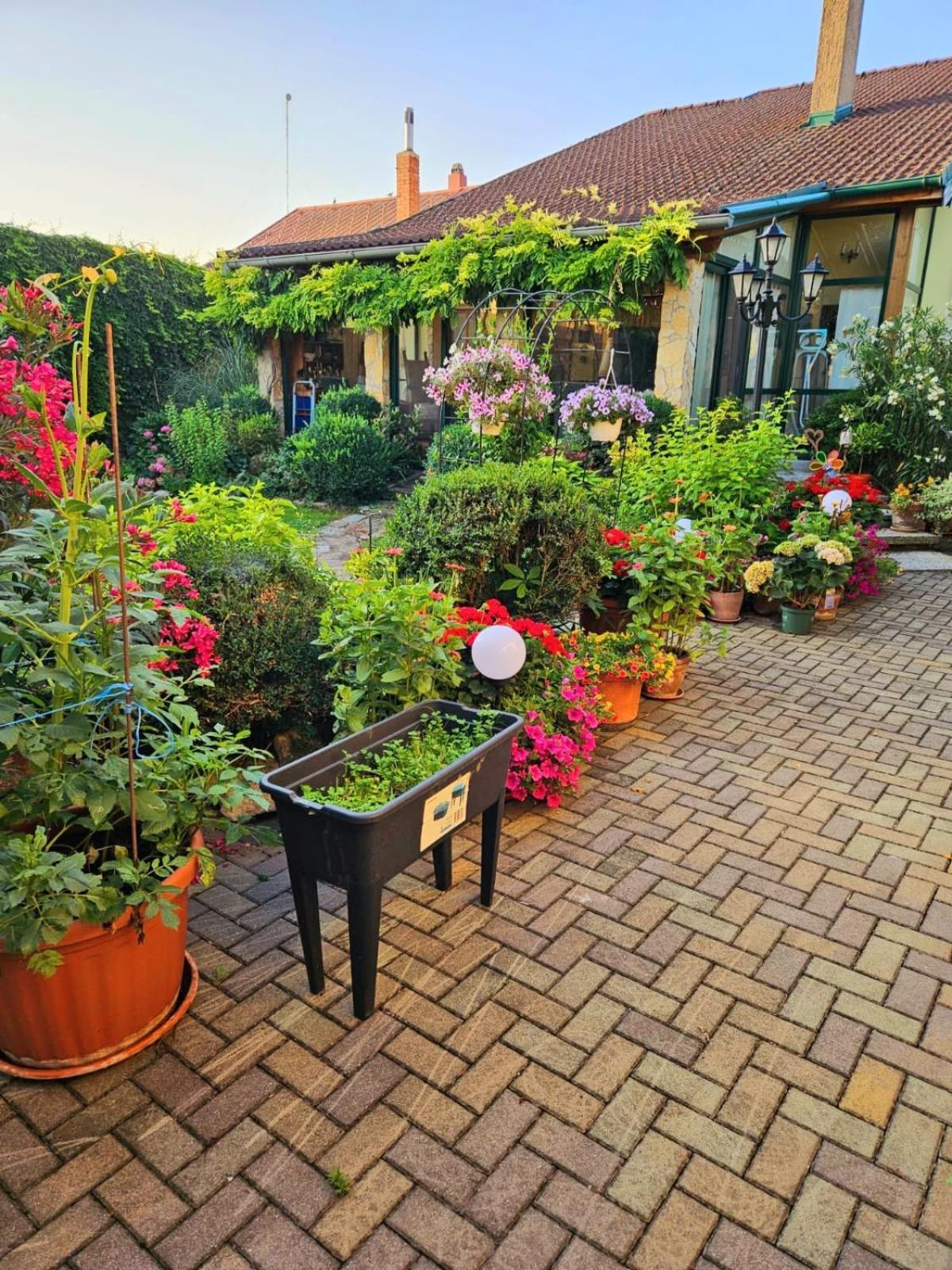 Ferienwohnung Koppi Pamhagen Dış mekan fotoğraf