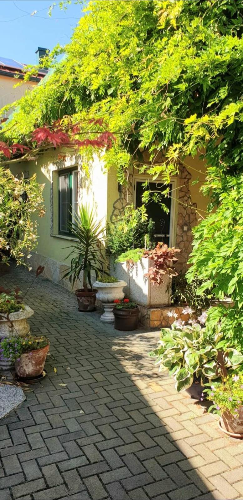 Ferienwohnung Koppi Pamhagen Dış mekan fotoğraf