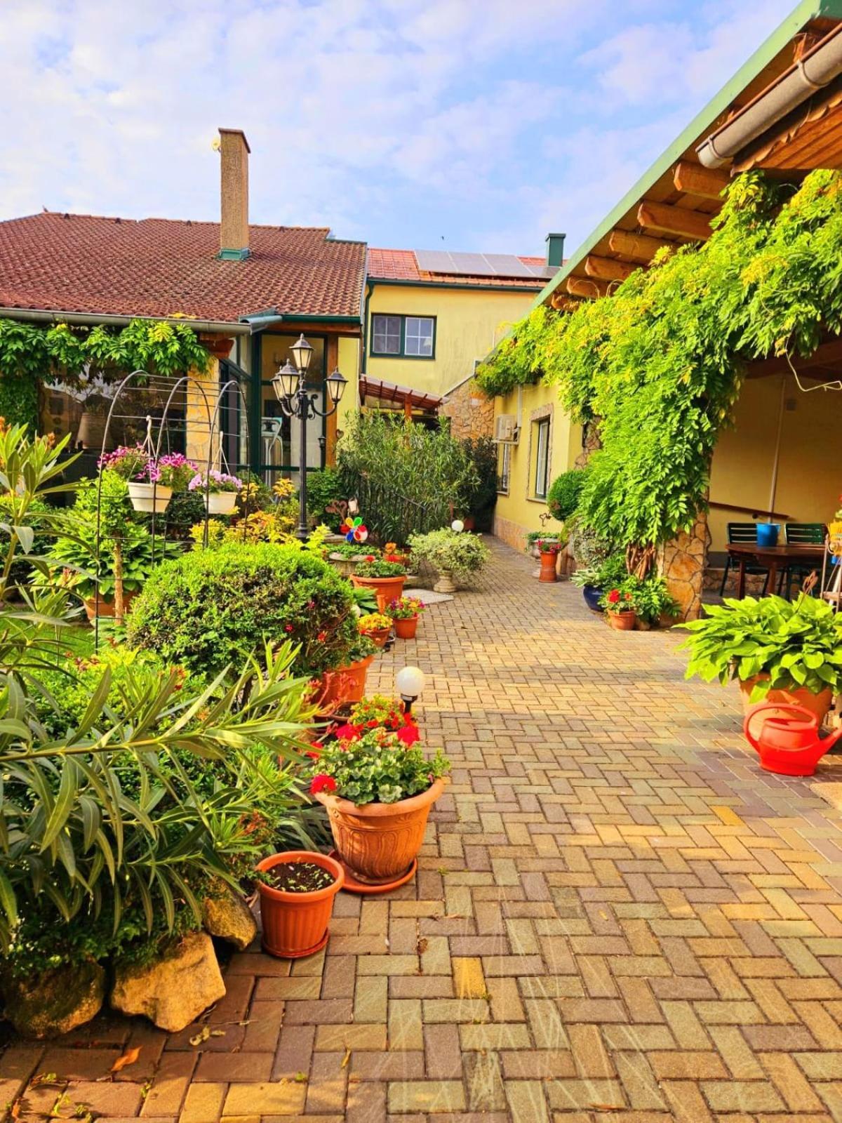 Ferienwohnung Koppi Pamhagen Dış mekan fotoğraf