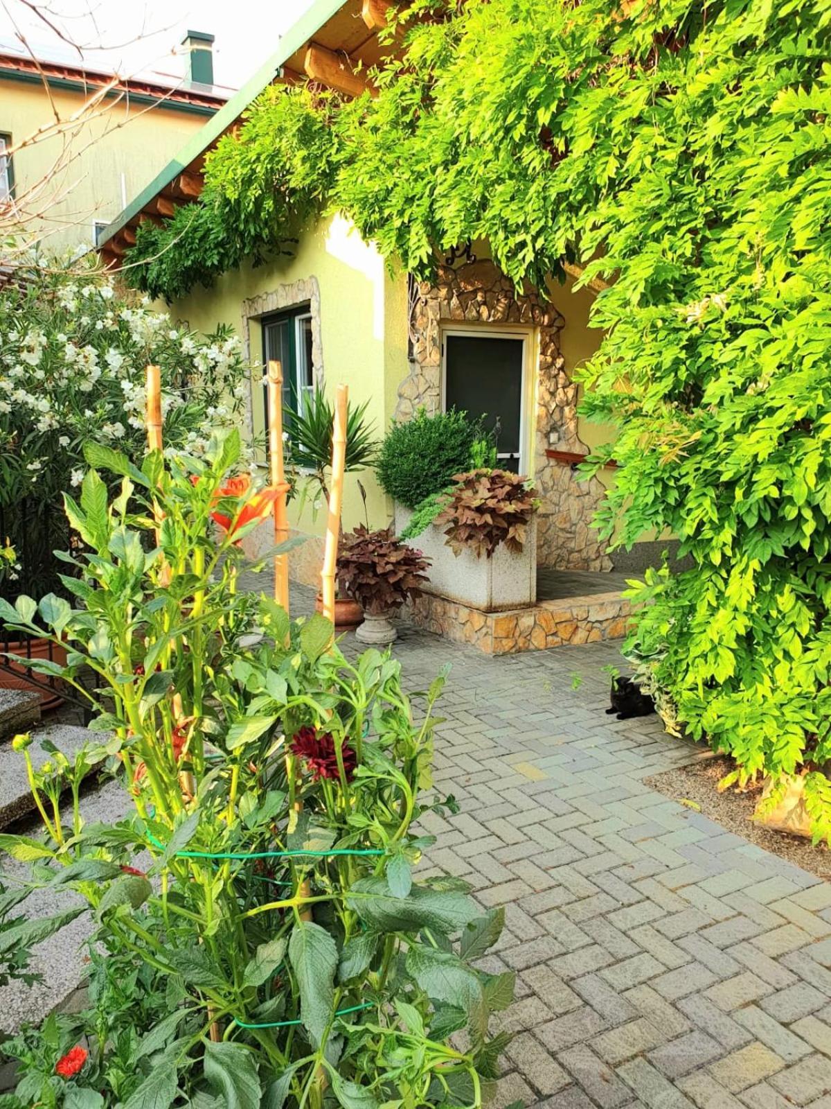 Ferienwohnung Koppi Pamhagen Dış mekan fotoğraf