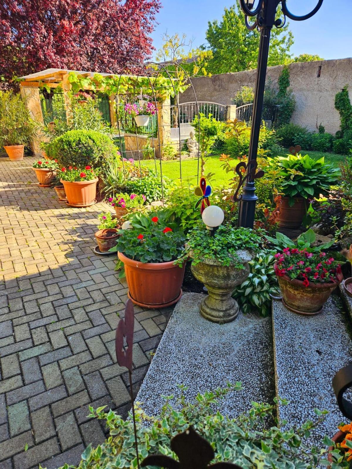 Ferienwohnung Koppi Pamhagen Dış mekan fotoğraf