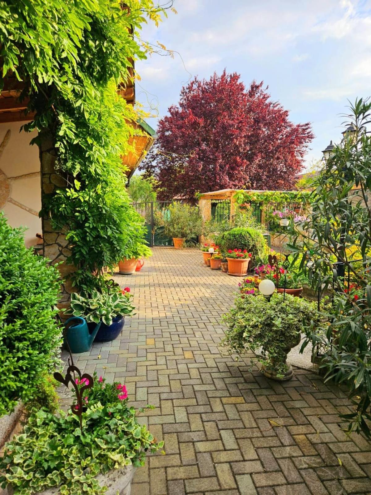 Ferienwohnung Koppi Pamhagen Dış mekan fotoğraf