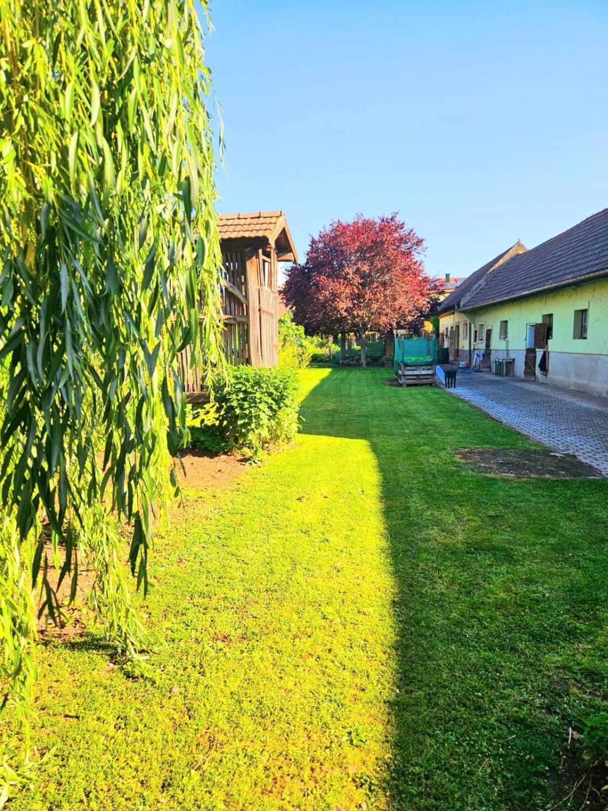 Ferienwohnung Koppi Pamhagen Dış mekan fotoğraf