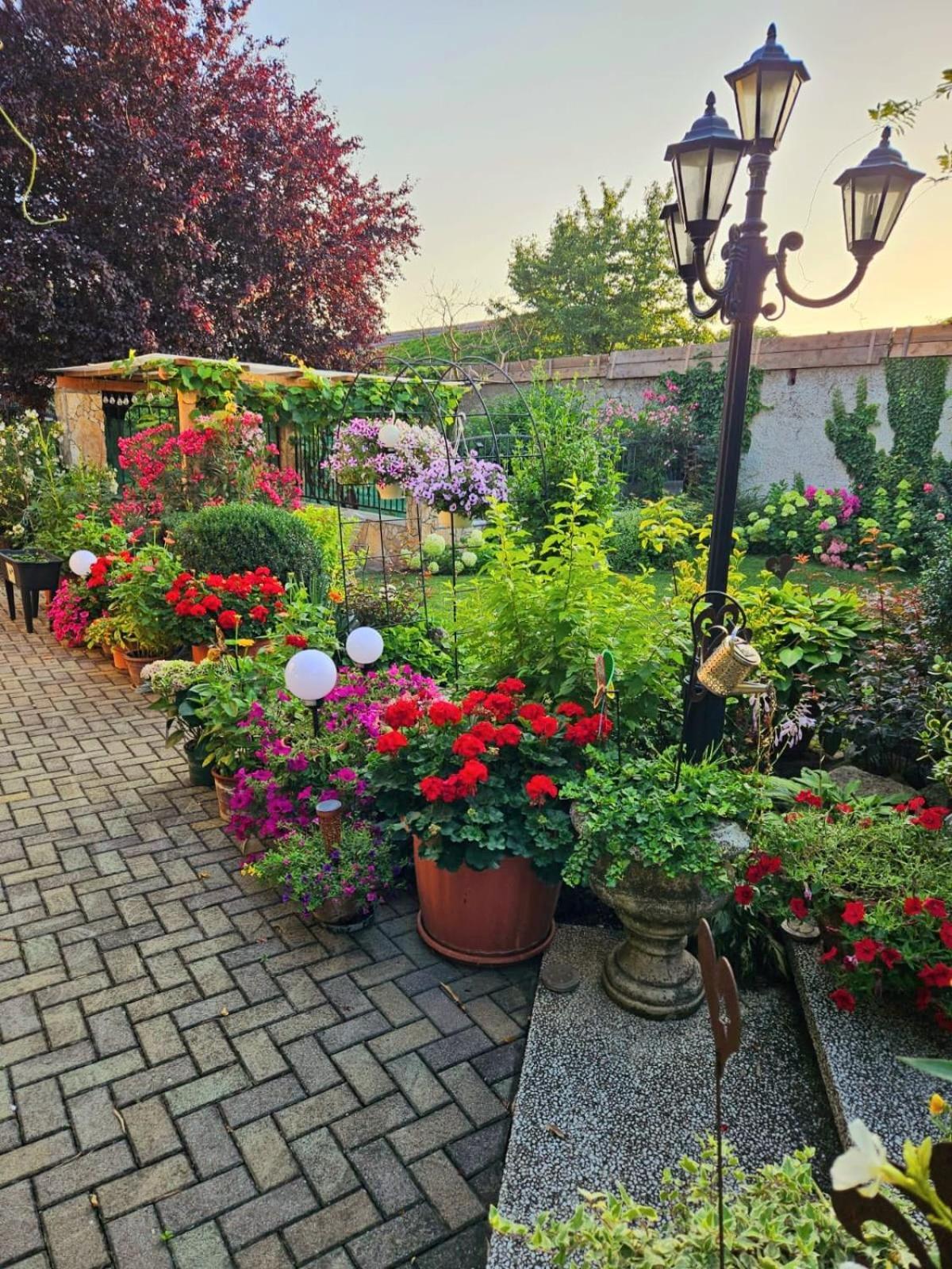 Ferienwohnung Koppi Pamhagen Dış mekan fotoğraf
