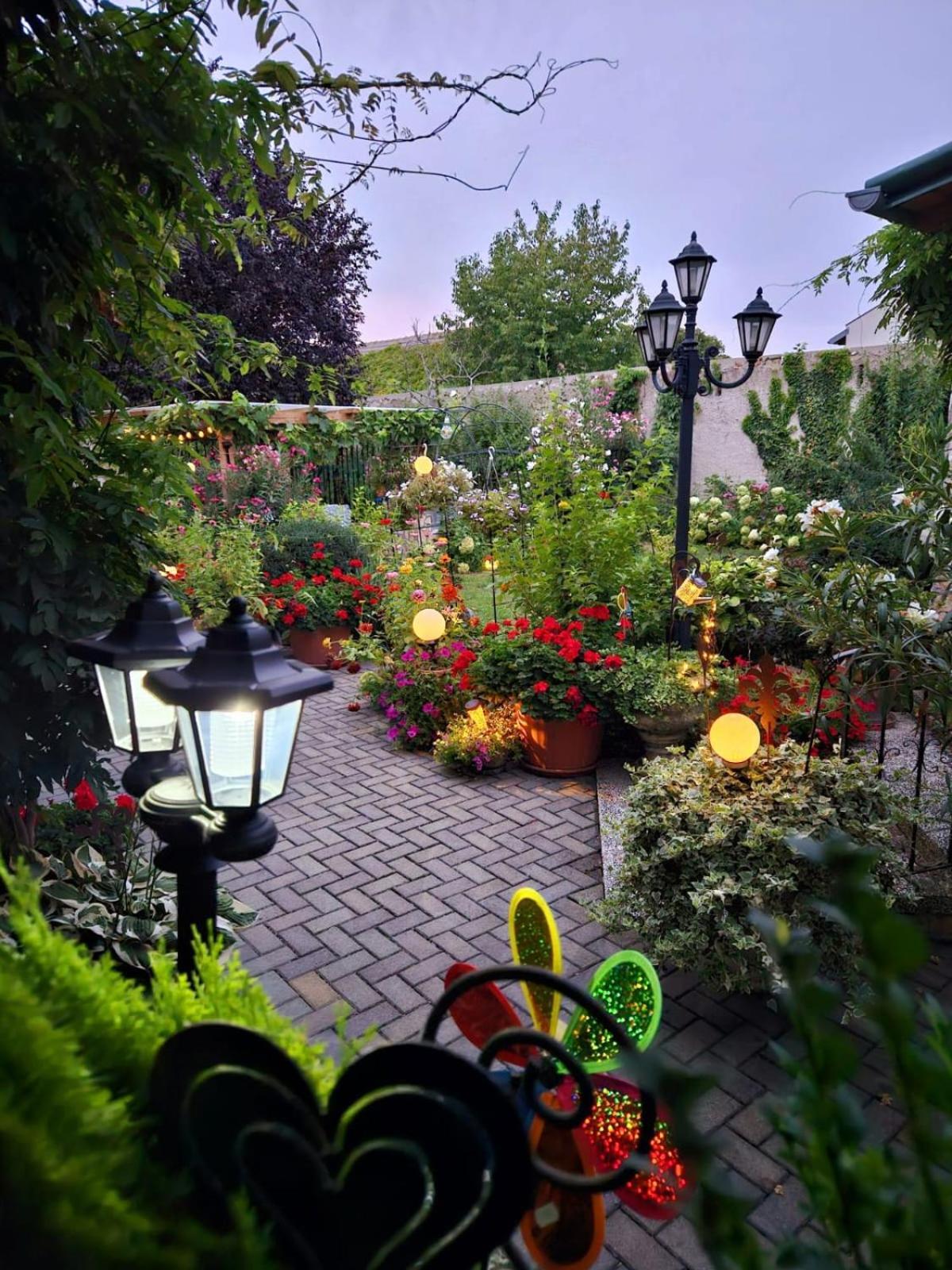 Ferienwohnung Koppi Pamhagen Dış mekan fotoğraf