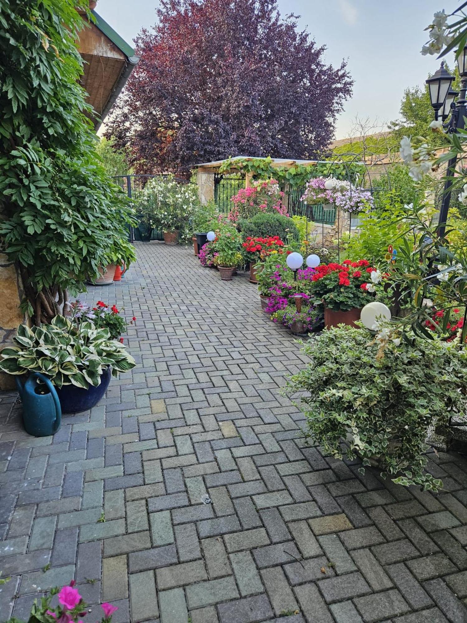 Ferienwohnung Koppi Pamhagen Dış mekan fotoğraf