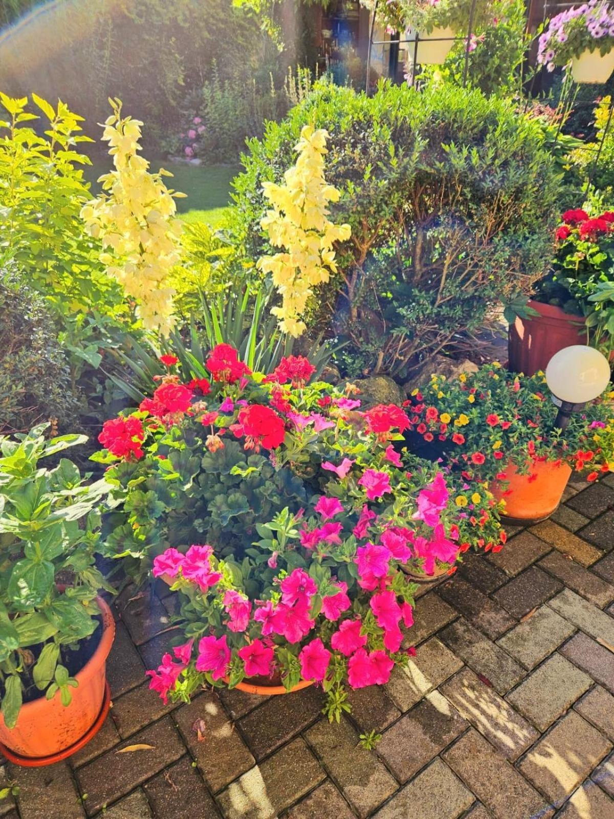 Ferienwohnung Koppi Pamhagen Dış mekan fotoğraf